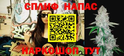 PSILOCYBIN Кандалакша