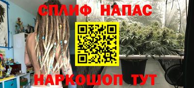 PSILOCYBIN Кандалакша