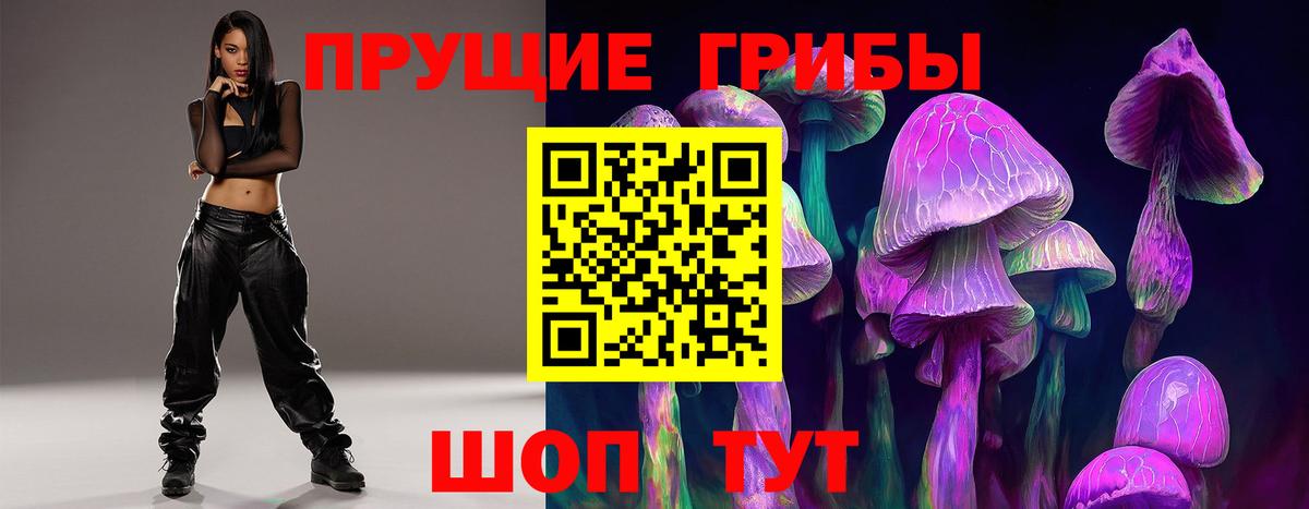 Псилоцибиновые грибы прущие грибы Лесной
