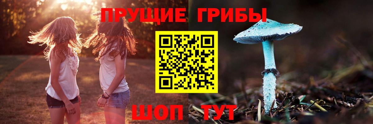 Галлюциногенные грибы GOLDEN TEACHER  Псилоцибиновые грибы прущие грибы  Лесной  Вход с VPN 