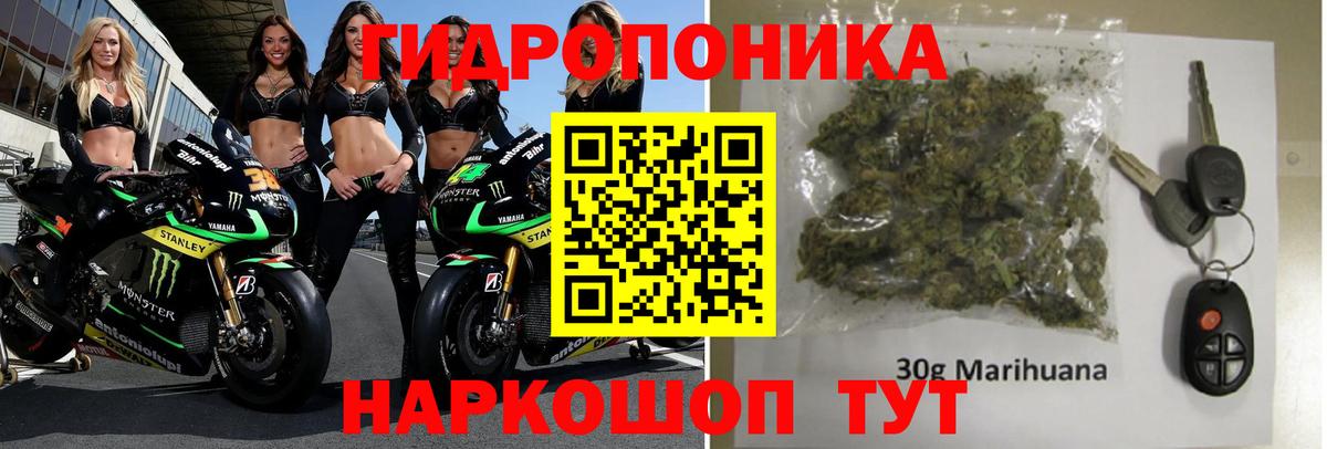 Бошки марихуана планчик Лесной